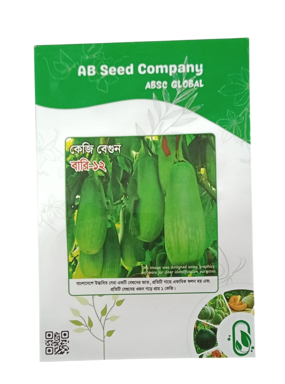Kg Brinjal Bari-12